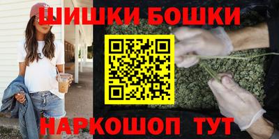 хмурый Шелехов