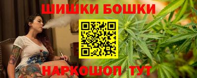 хмурый Шелехов