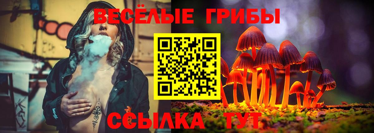 Псилоцибиновые грибы Cubensis Дальнегорск
