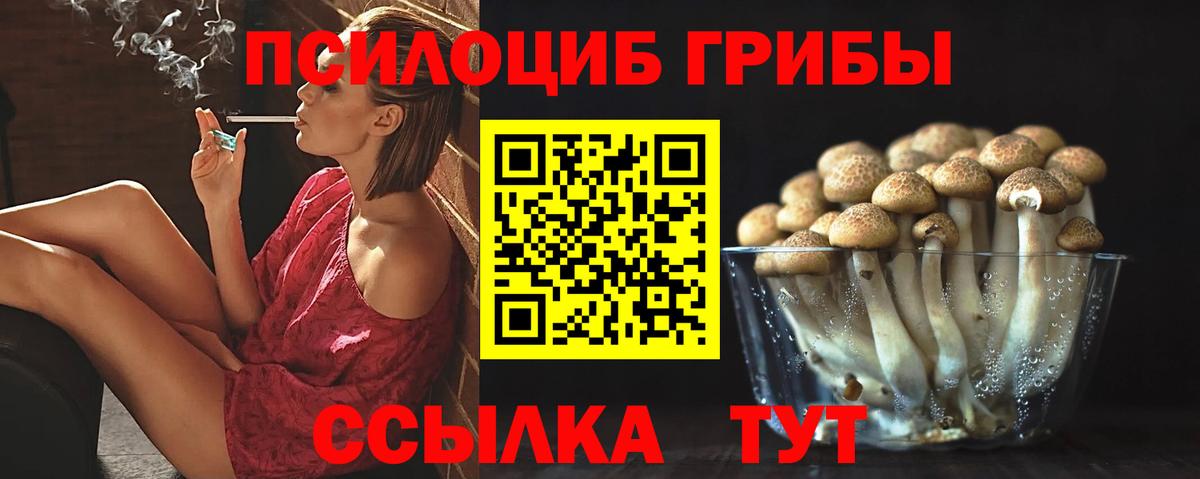 Галлюциногенные грибы прущие грибы  Псилоцибиновые грибы прущие грибы  Дальнегорск  Вход с VPN 